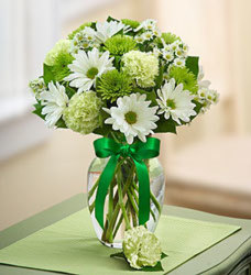 Serene Green from Clermont Florist & Wine Shop, flower shop in Clermont